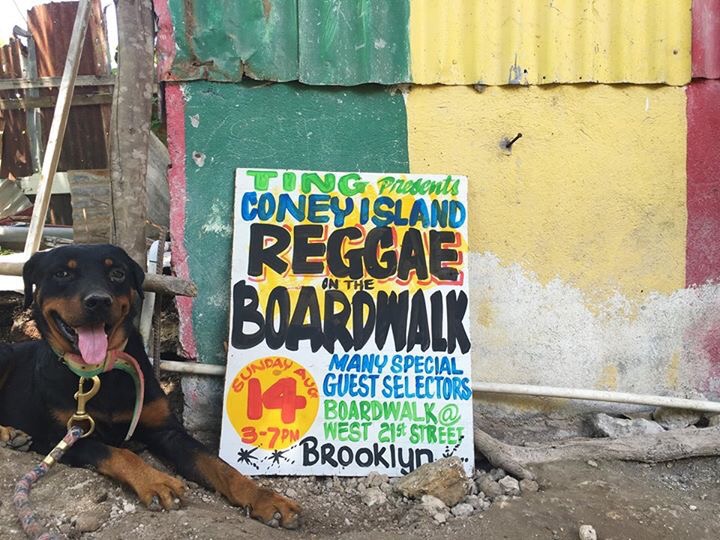 Coney Island Amphitheater 2023 show schedule & venue.