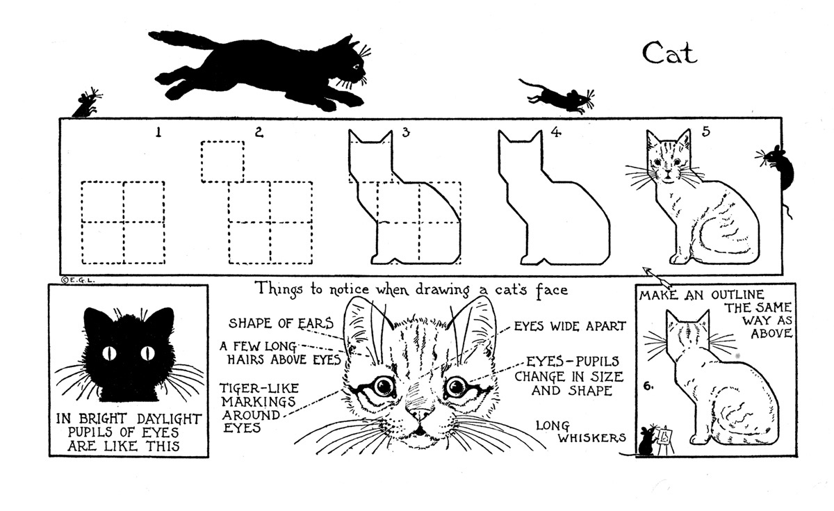 How to Draw a Cat Printable Drawing Lesson The How to Draw a Cat Printable Drawing Lesson The
