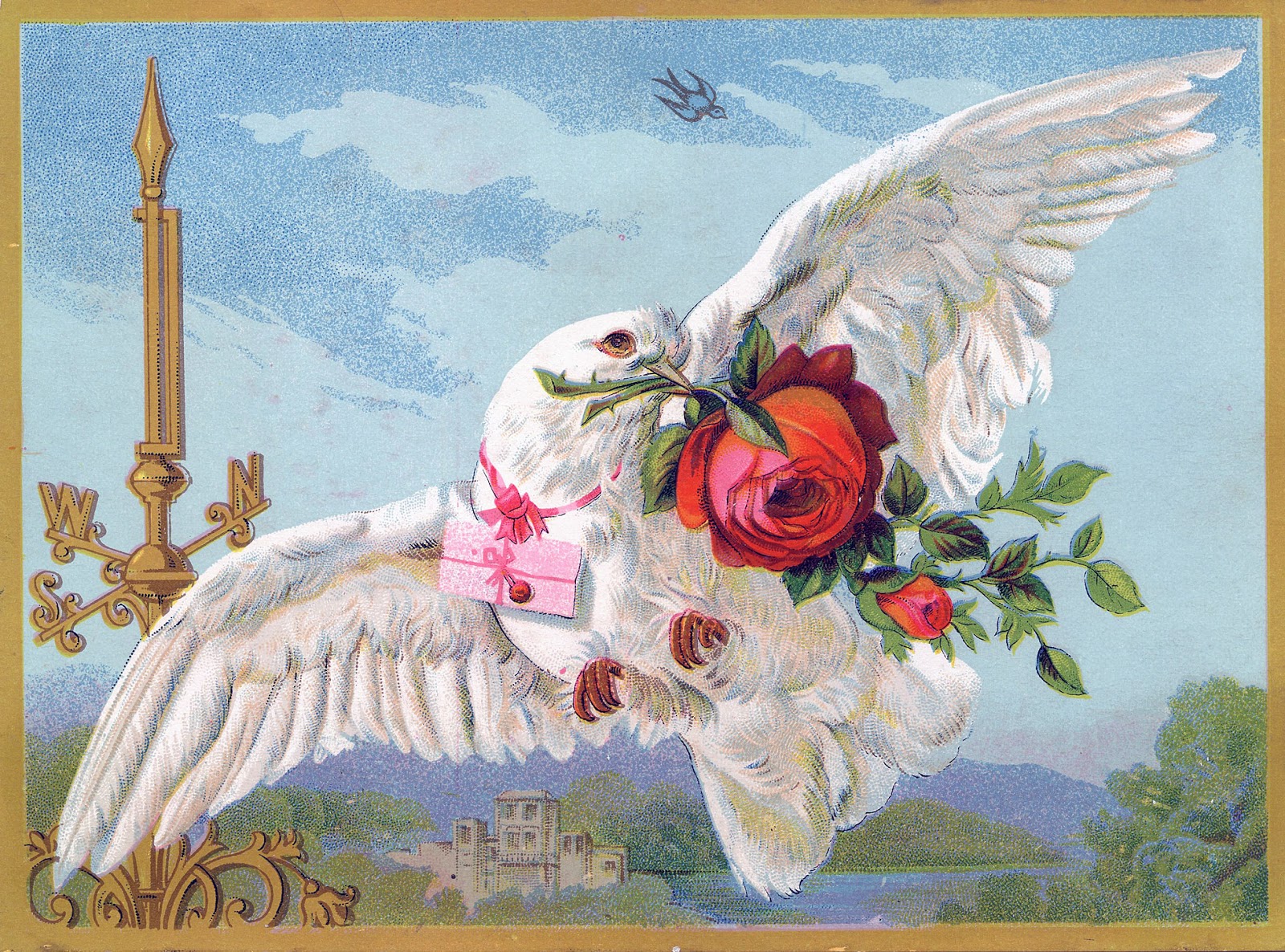 Vintage Bird Image White Dove with Roses The Graphics Fairy