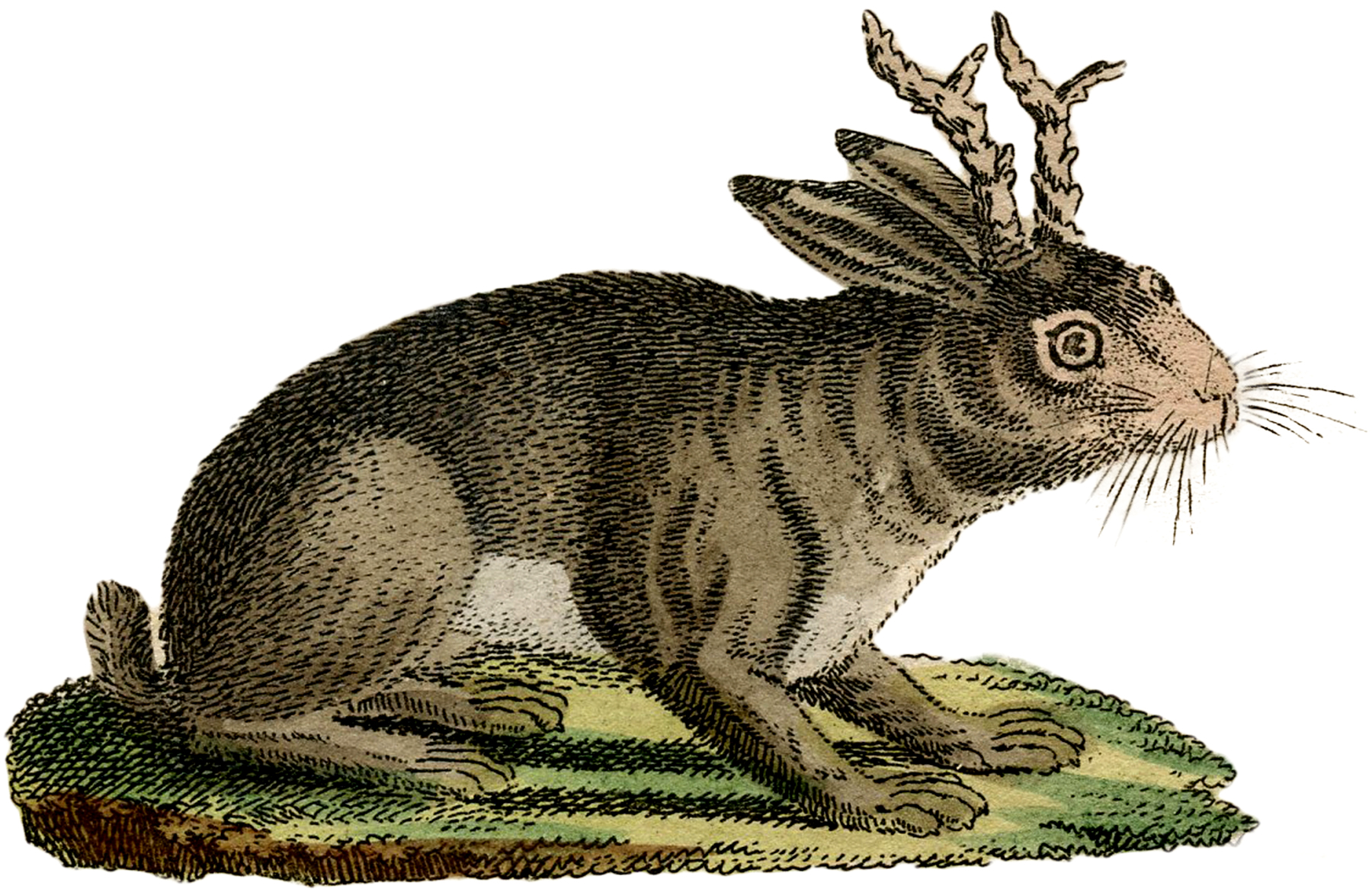 Vintage Rabbit with Horns Image! The Graphics Fairy