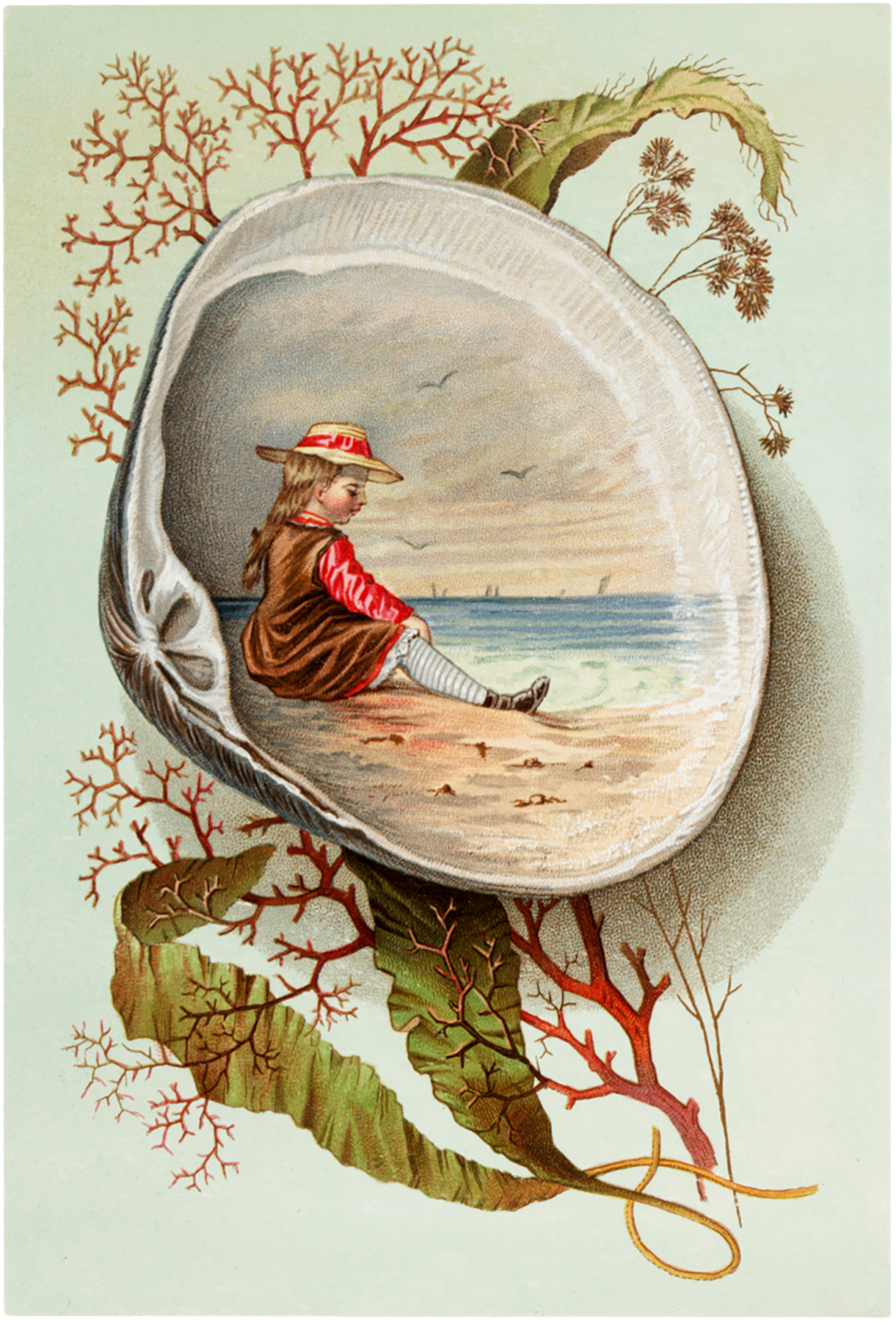 9 Children with Seashells Illustrations! The Graphics Fairy