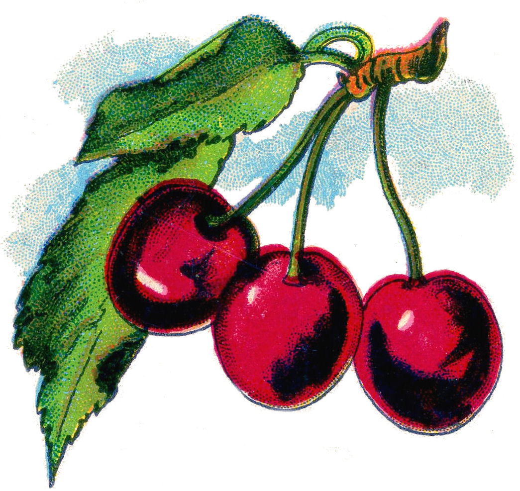 15 Best Cherry Images! The Graphics Fairy