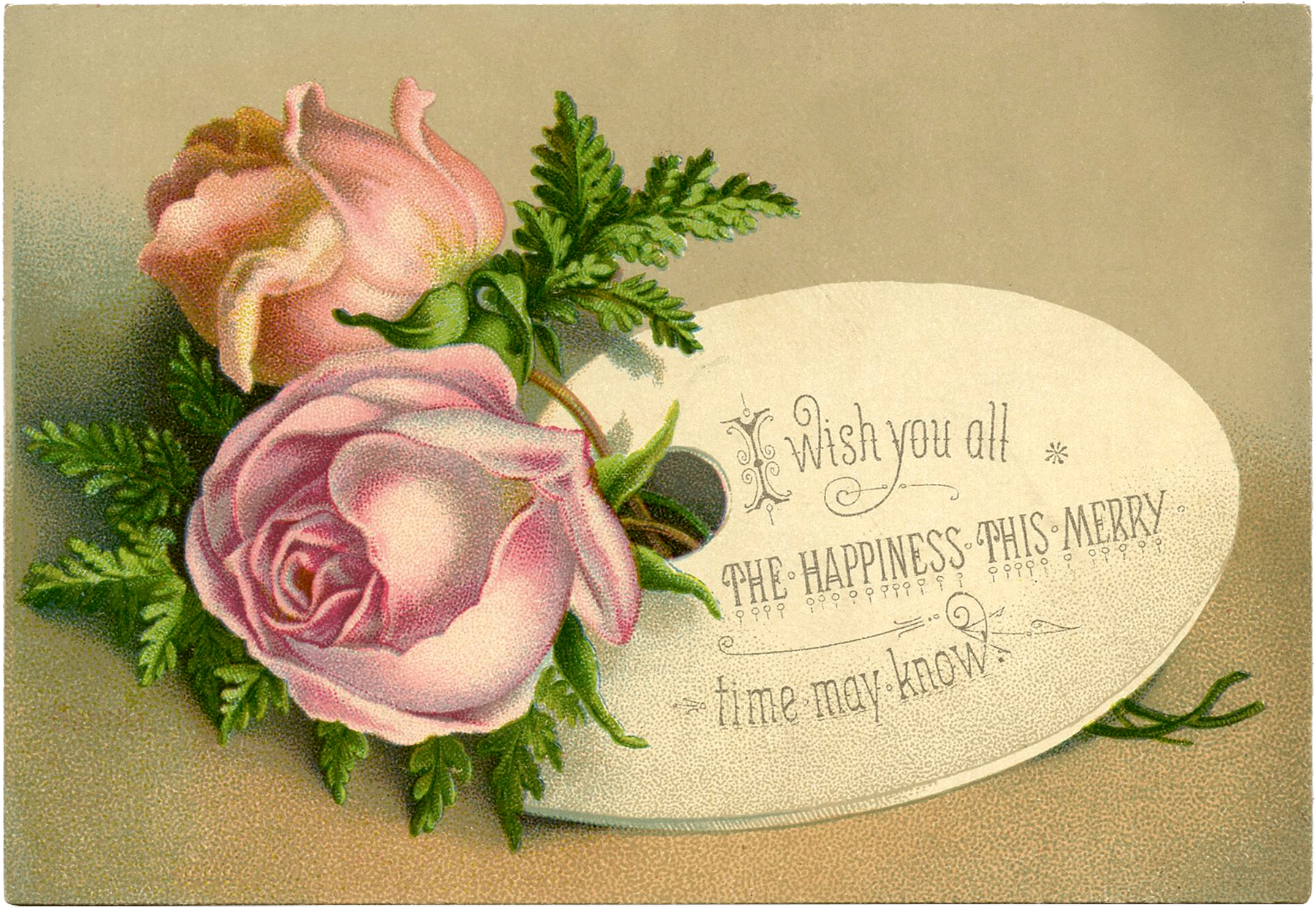 11 Christmas Flower Images! The Graphics Fairy