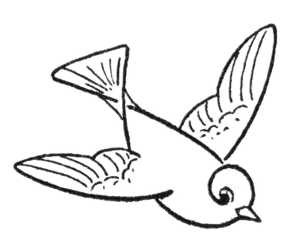 Bird Drawing (7 Different Ways!) The Graphics Fairy