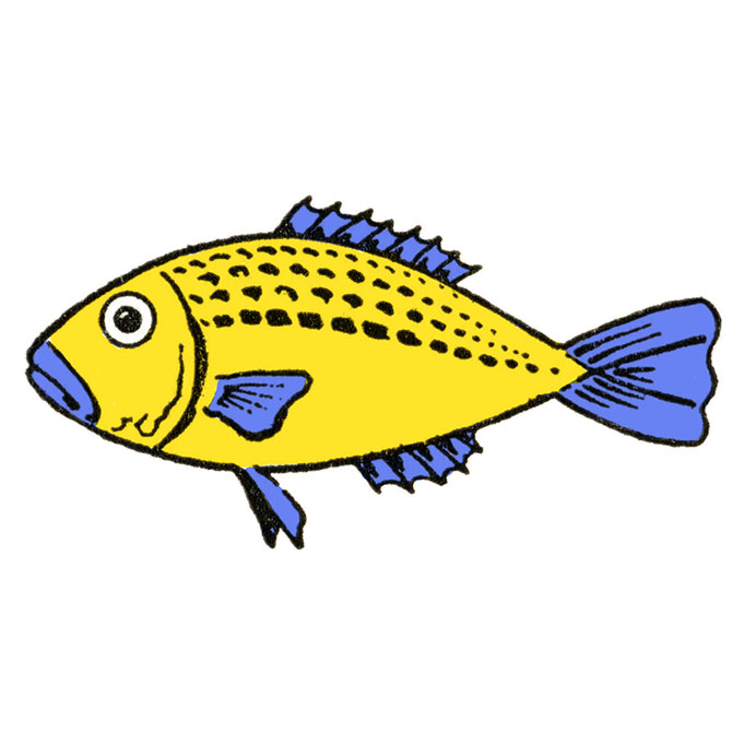 How to Draw a Fish Easy (6 Ways!) The Graphics Fairy