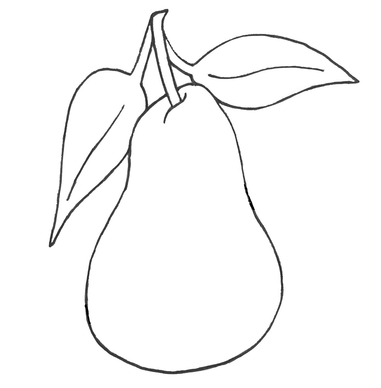 Pear Drawing (4 Easy Steps)! The Graphics Fairy