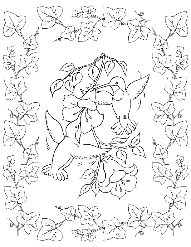 8 Bird Coloring Pages! The Graphics Fairy