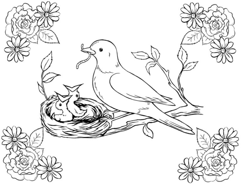 8 Bird Coloring Pages! The Graphics Fairy