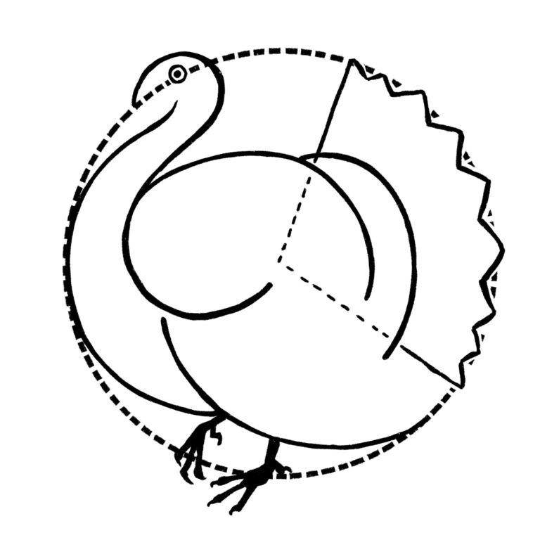 Turkey Drawing {7 Easy Steps}! The Graphics Fairy