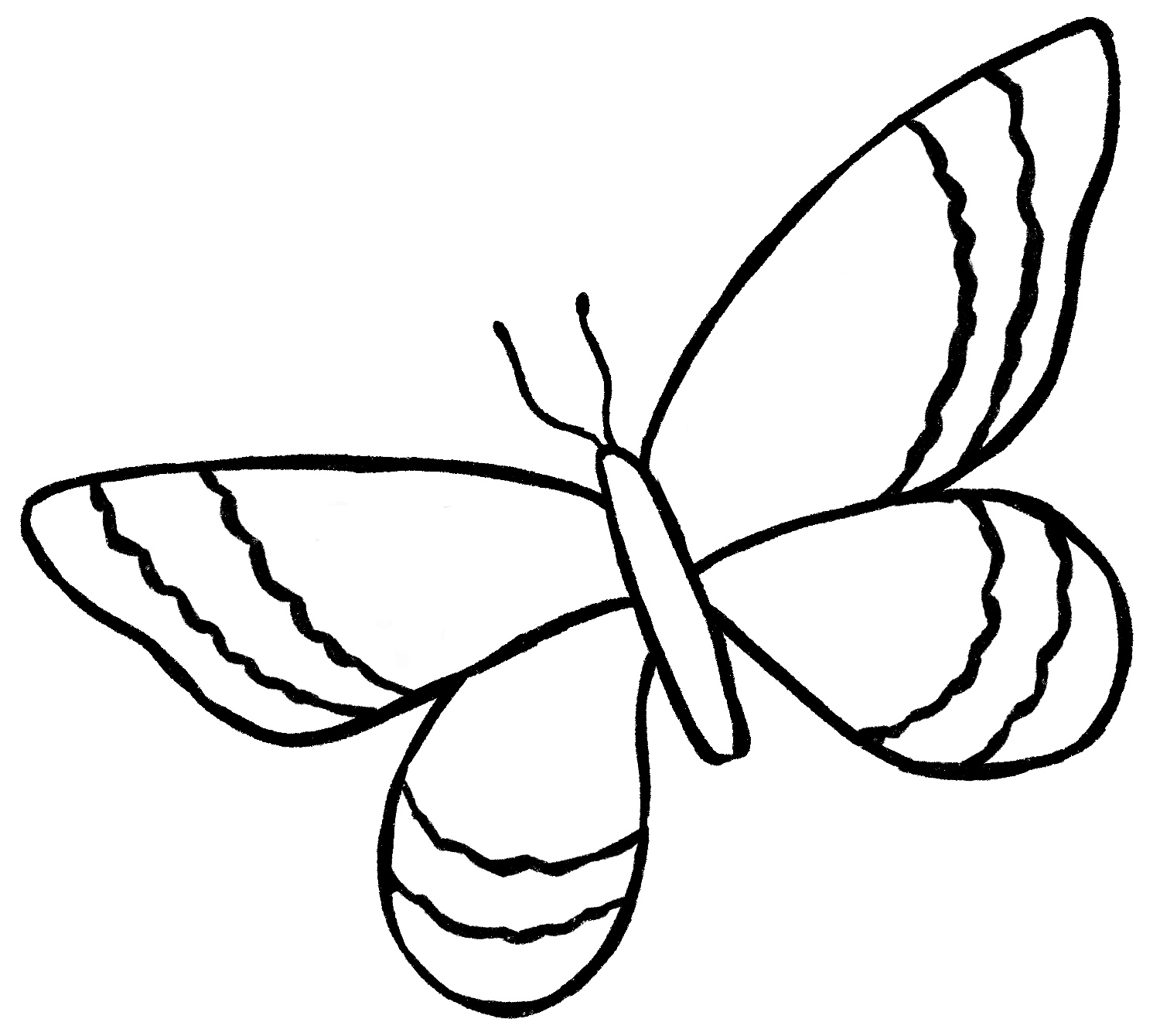 Butterfly Drawing {6 Easy Steps}! The Graphics Fairy