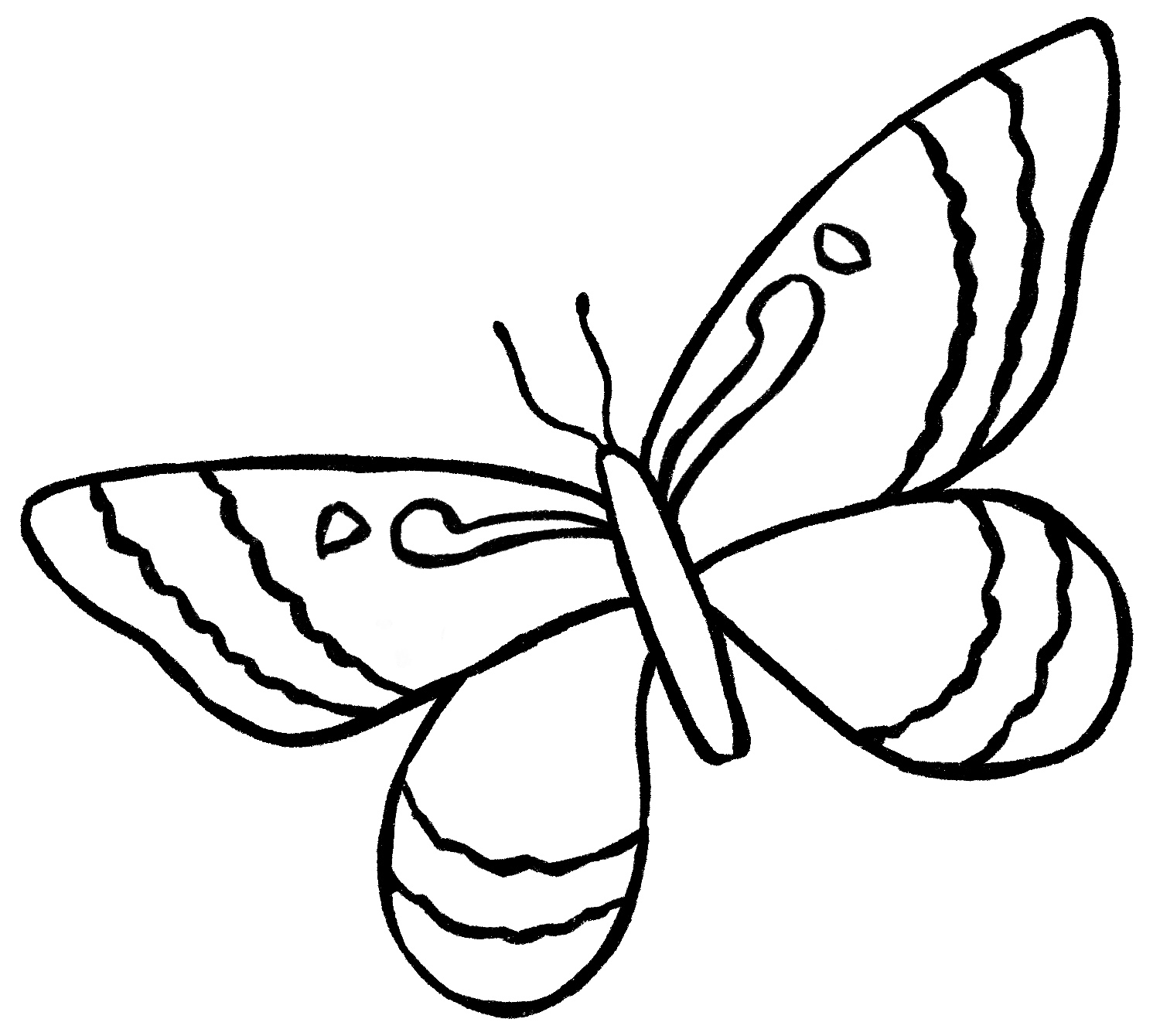 Butterfly Drawing {6 Easy Steps}! The Graphics Fairy