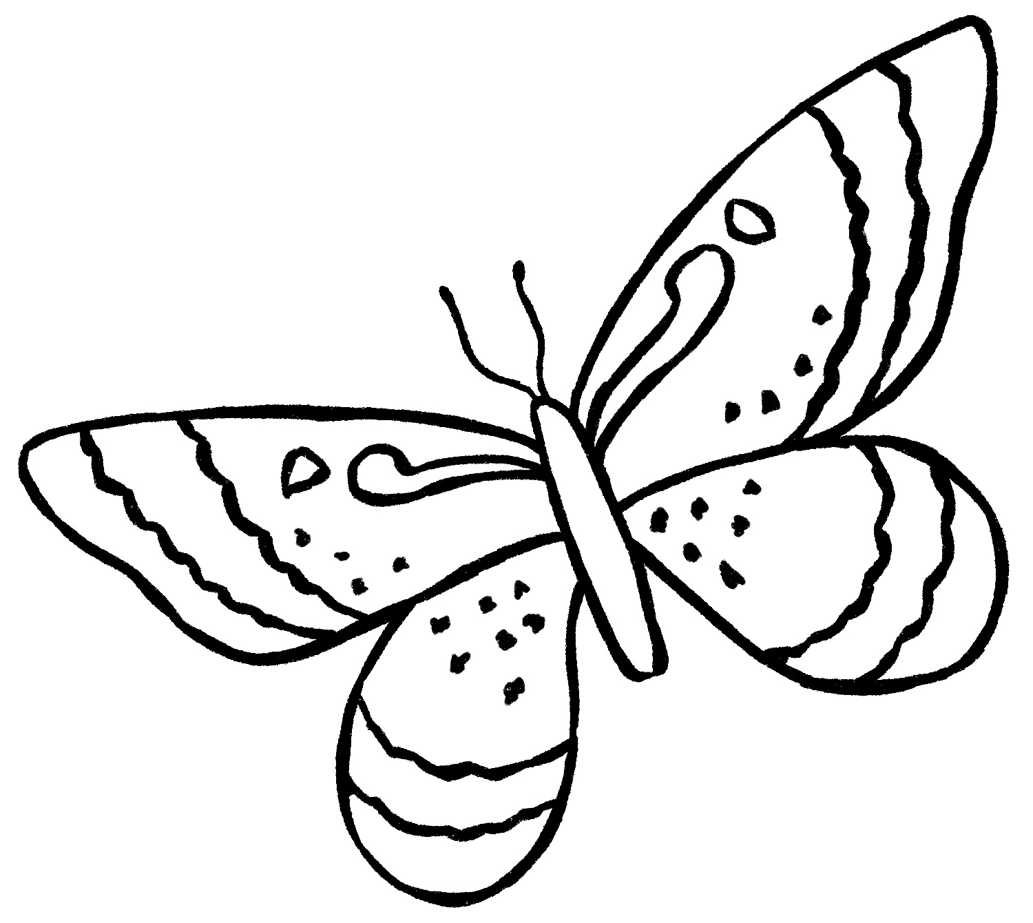 Butterfly Drawing {6 Easy Steps}! The Graphics Fairy