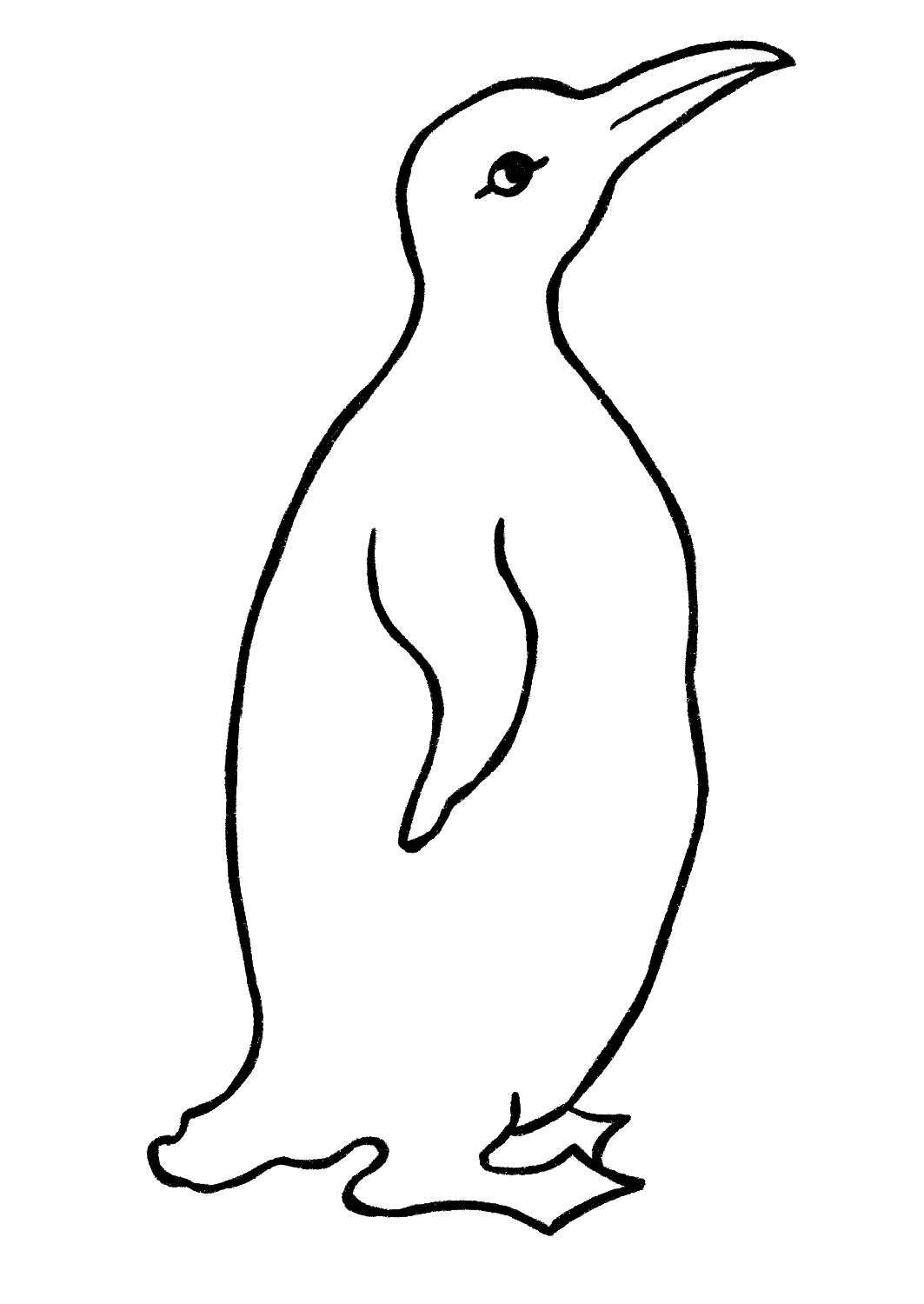 Penguin Drawing {5 Easy Steps}! The Graphics Fairy