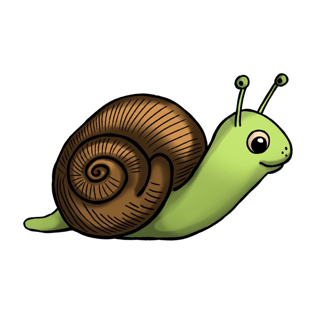 Snail Drawing {5 Easy Steps}! The Graphics Fairy