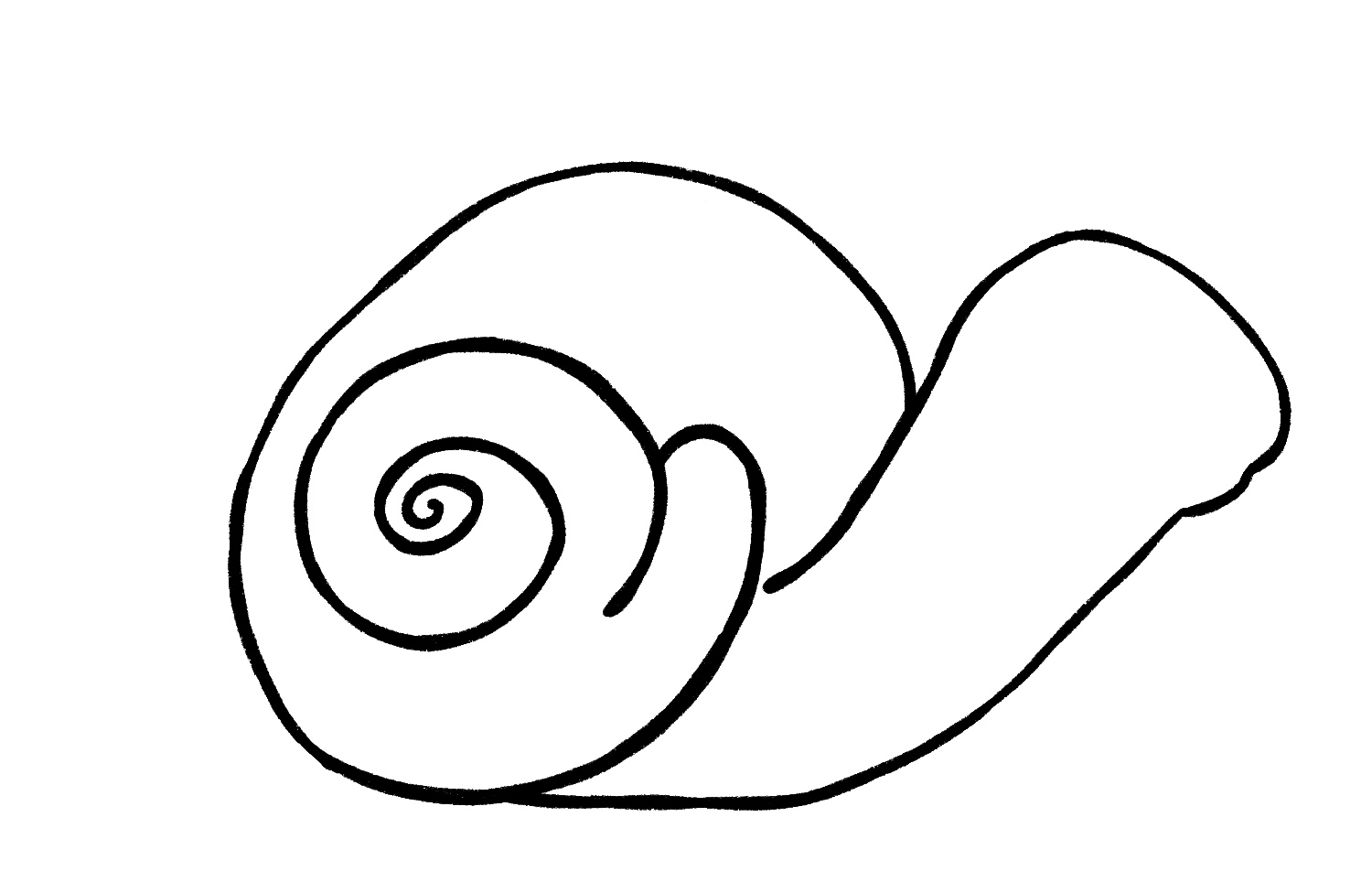 Snail Drawing {5 Easy Steps}! The Graphics Fairy