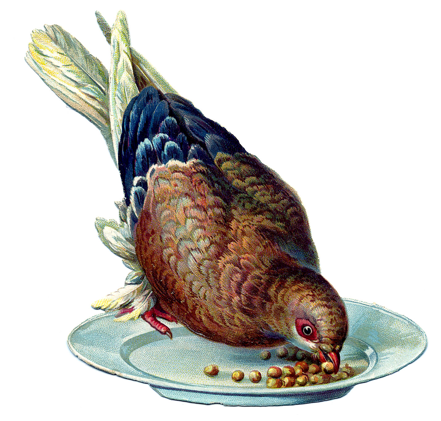 Vintage Clip Art Amusing Bird The Graphics Fairy