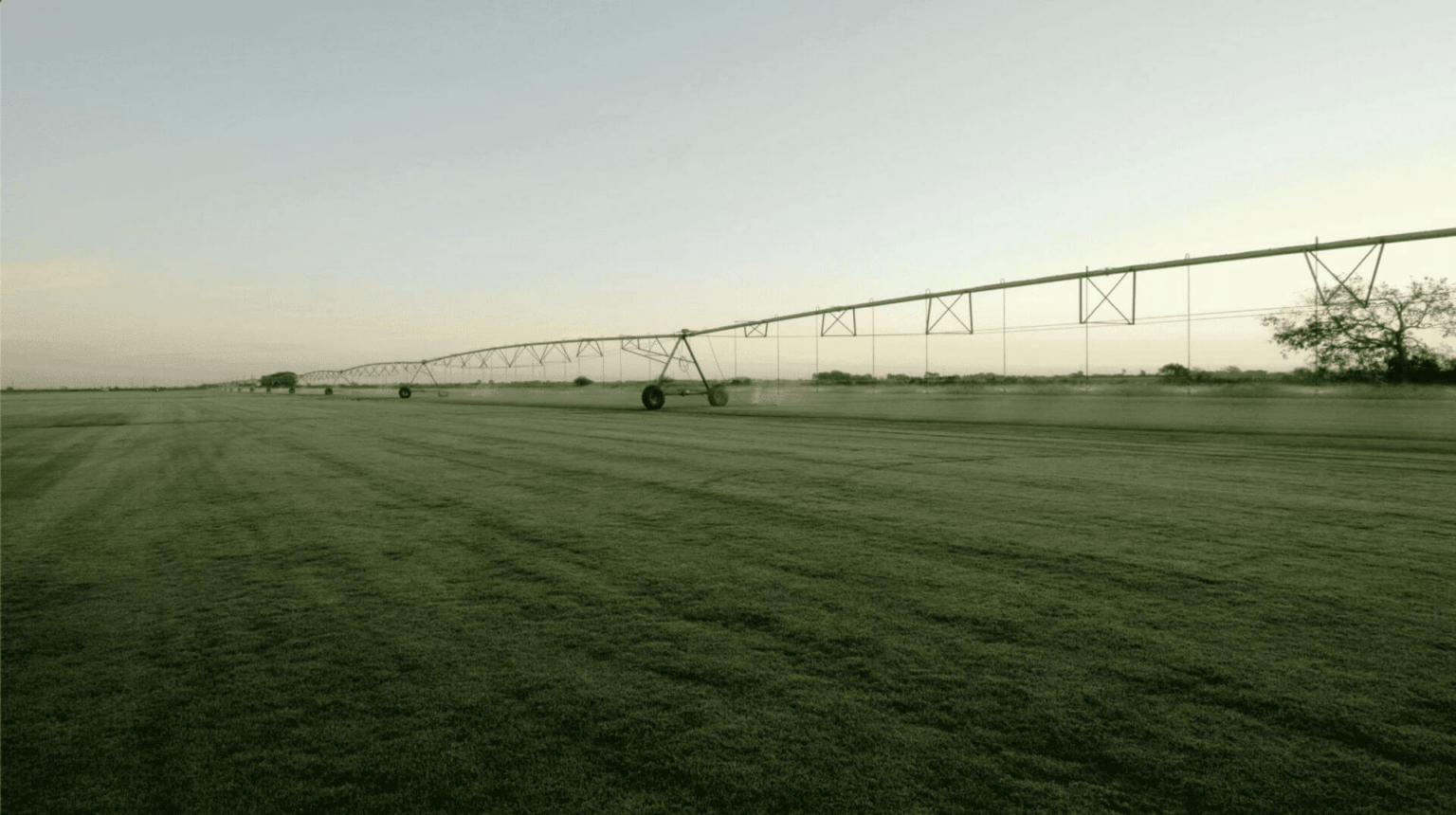 The Grass Outlet Sod Grass for Austin, Dallas, Houston, San Antonio