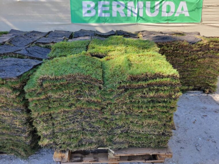 The Grass Outlet Sod Grass for Austin, Dallas, Houston, San Antonio