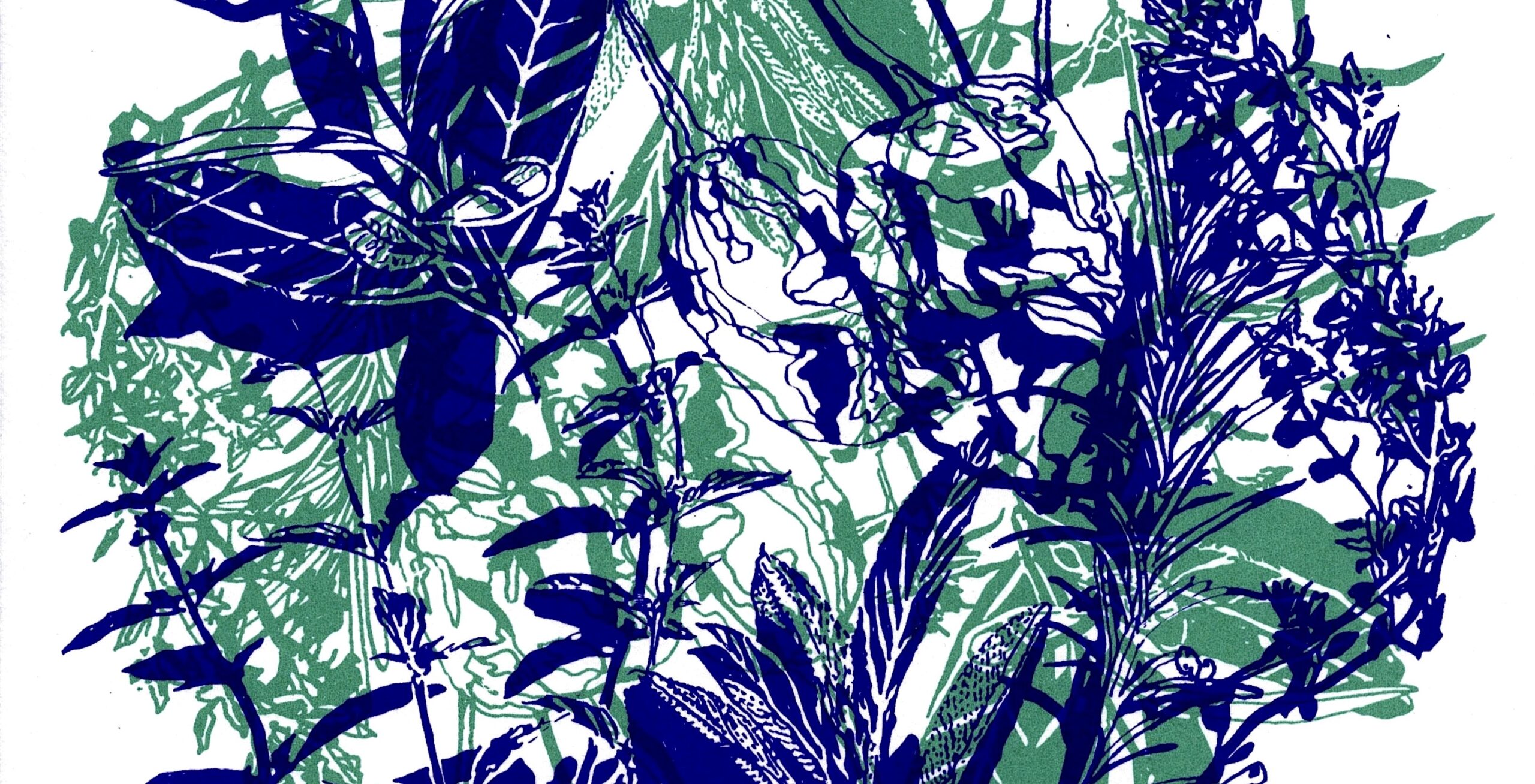 Spring 2024 The Gravity of the Thing