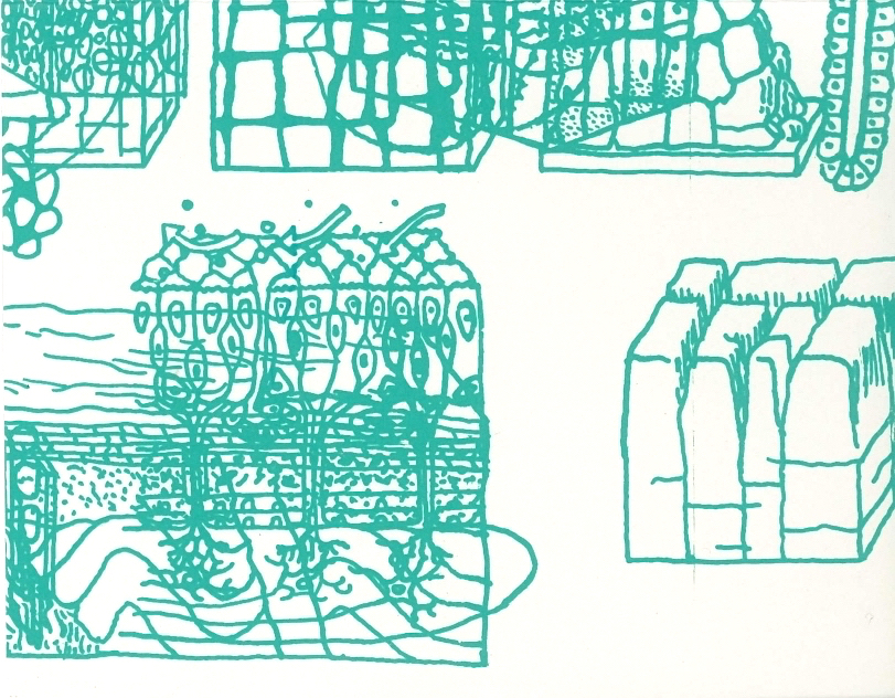 About The Gravity of the Thing