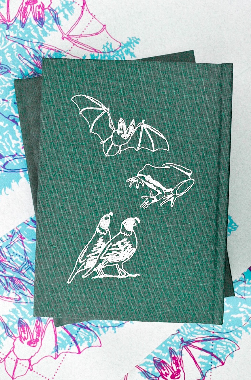 Stranged Writing A Literary Taxonomy The Gravity of the Thing