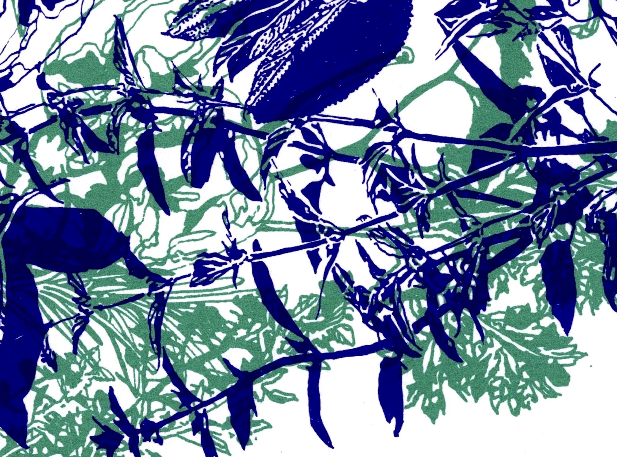 Perceptions Shift Wendy BooydeGraaff and Susan Wider The Gravity of