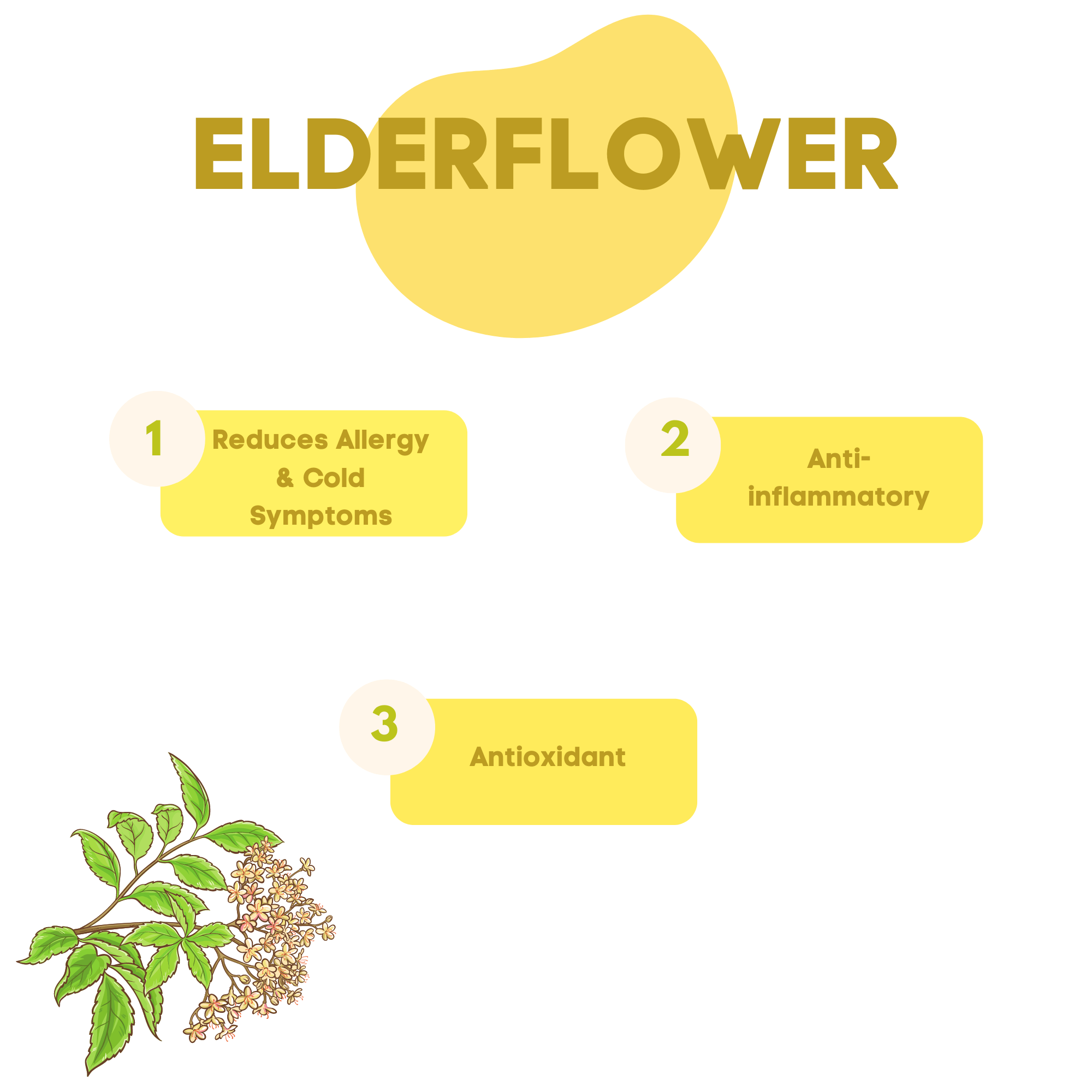 The Green Bean Coffee Co. Plant Based Goodness