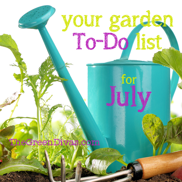 July Gardening “ToDo’s” The Green Divas