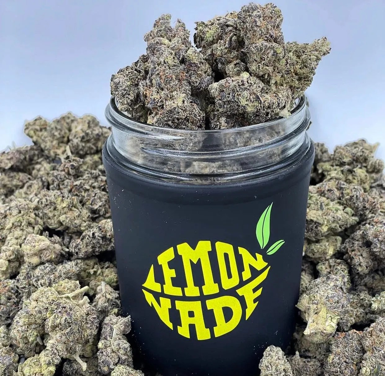 Strain Review Lemonnade Surrey Weed Delivery