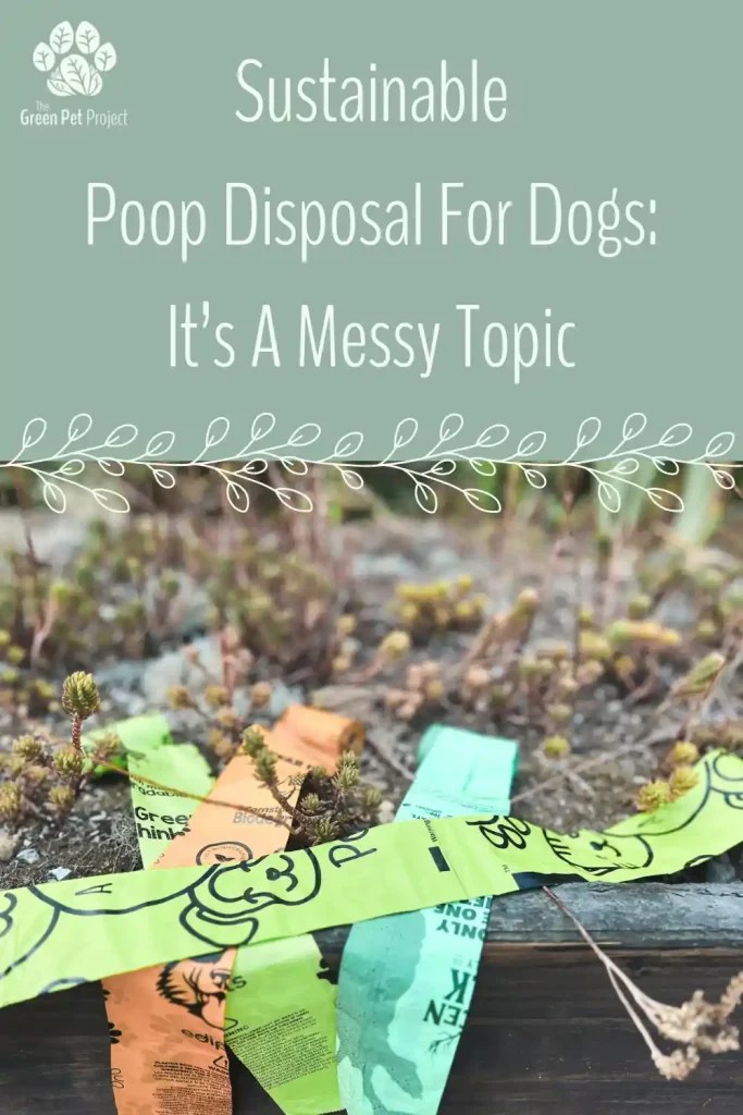 Poop Disposal For Dogs The Green Pet Project