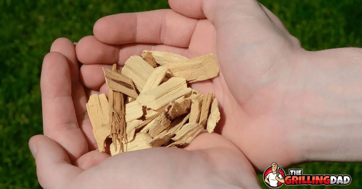How to Use Wood Chips in an Electric Smoker (3 Easy Methods)
