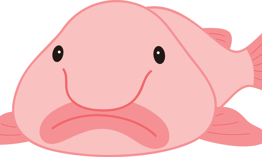 What Is A Blobfish? What They Eat & Where They Live • The Grom Life(015)