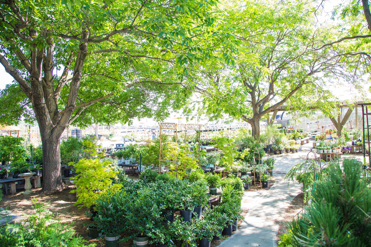 Your Guide to 13 Northern Colorado Garden Centers, Nurseries + Greenhouses The Group Fort