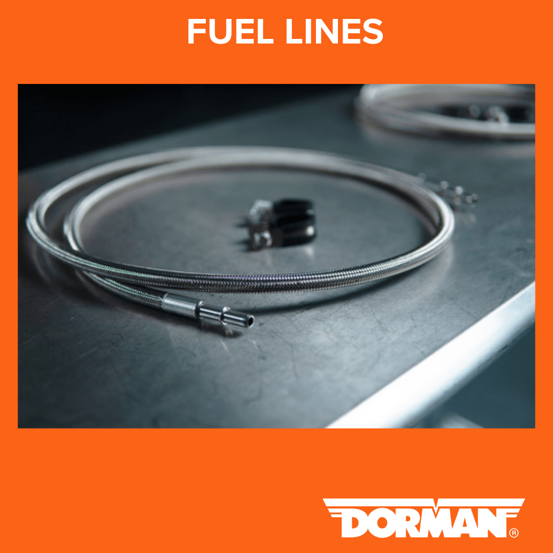 Dorman University Fuel Lines The Group Training Academy