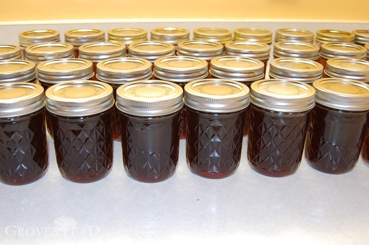 Maple Syrup now on sale! The Grovestead