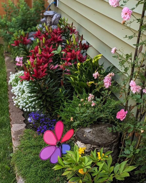 24 Full Sun Flower Bed Ideas | TheGrow