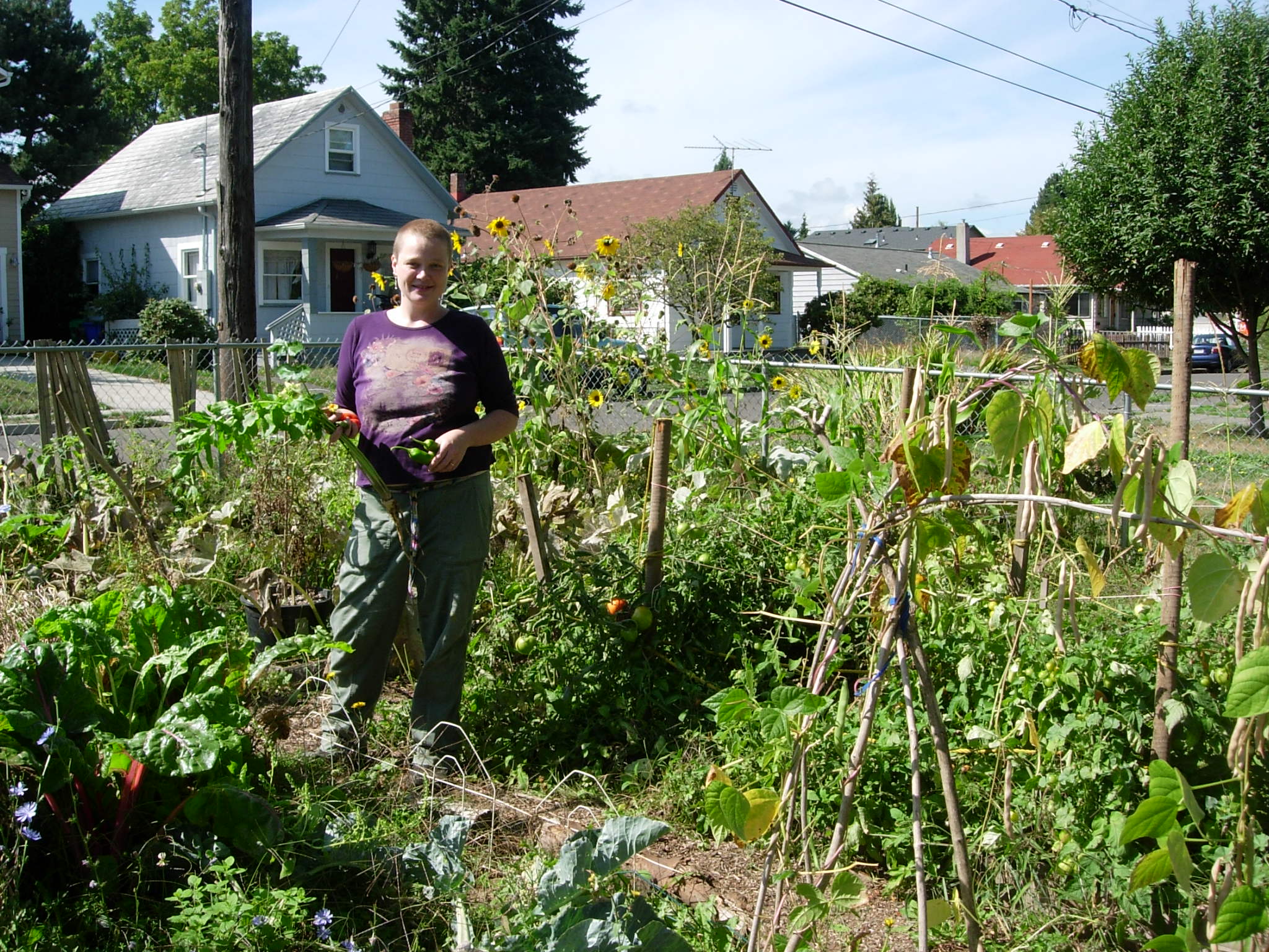Five Most Nutritious Vegetables Varieties For The Home Garden The Grow Network The Grow Network