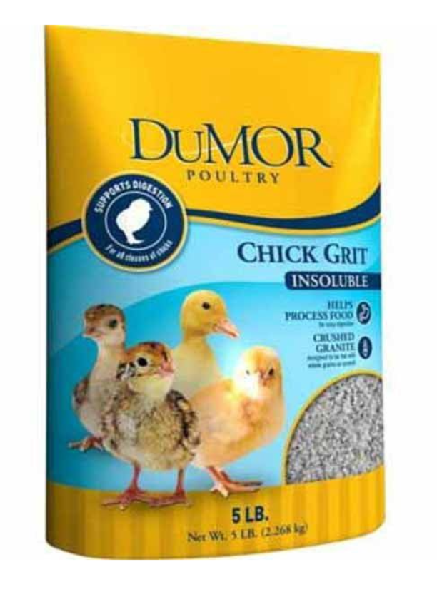 Top 15 Basic Supplies You Need to Brood Chicks the Right Way The Grow