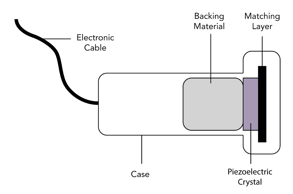 Ultrasound Principles theguidewire