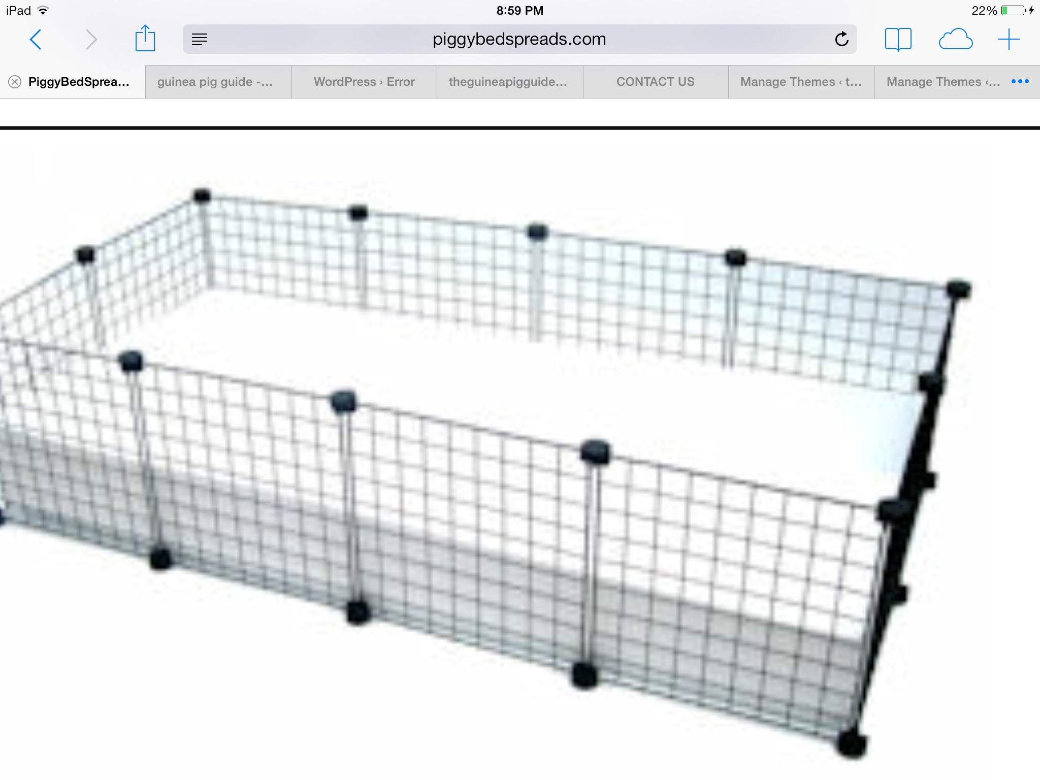 Guinea Pig Cages theguineapigguide
