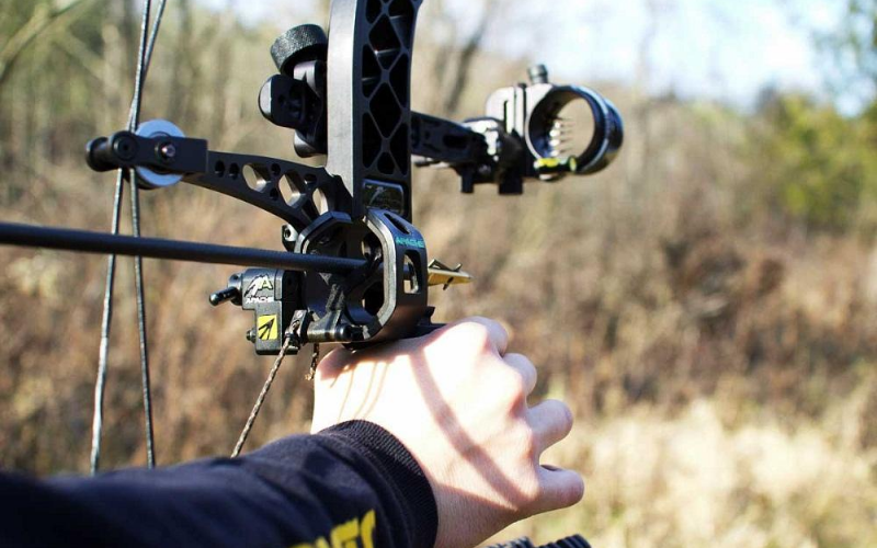 The 15 Best Bow Sights in 2024 & Buyers Guide [October Updated]