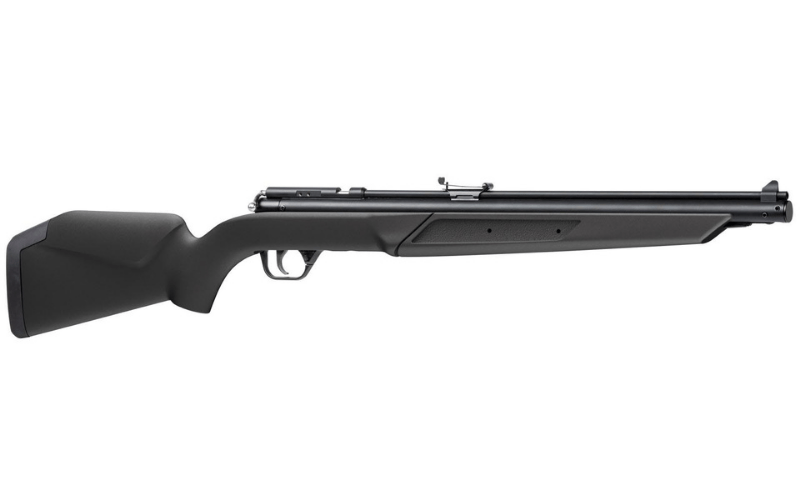 Best Pump Air Rifles In 2024 Top 8 Picks [October Updated]