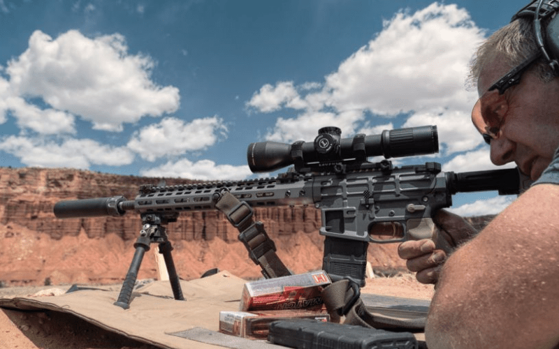 {The 8} Best Scopes for .300 Winchester Magnum [August Tested]