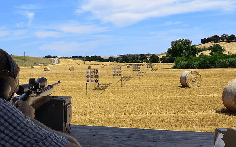 {The 10} Best BB Gun Target in 2024 [September Tested]