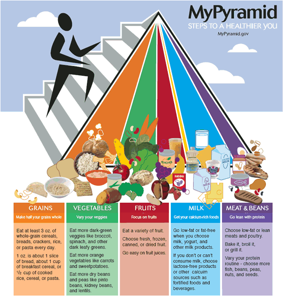 Who’s REALLY Responsible for Your Health?
