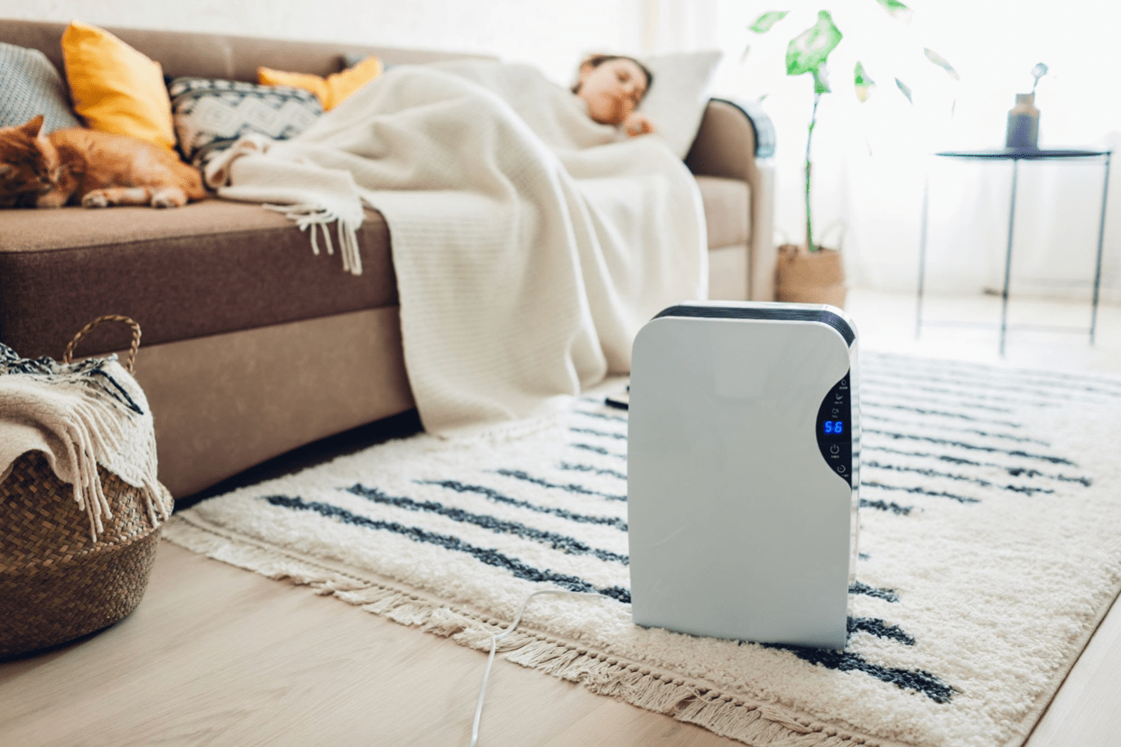6 Best Places to Put an Air Purifier
