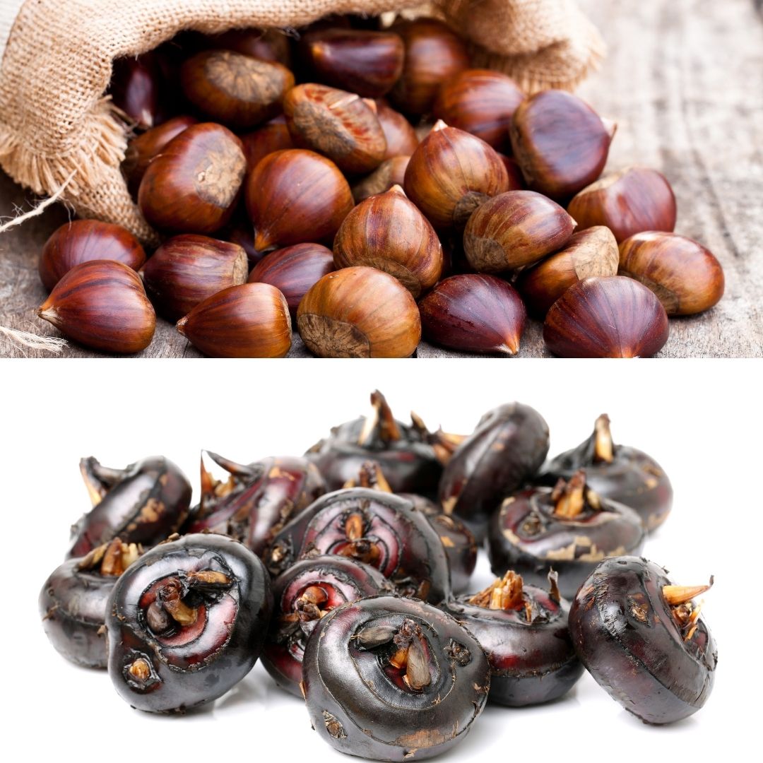 Can Dogs Eat Water Chestnuts? 4 Benefits + 4 Ways To Eat