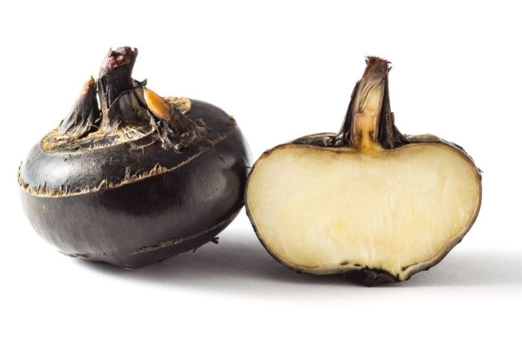 Can Dogs Eat Water Chestnuts? 4 Benefits + 4 Ways To Eat