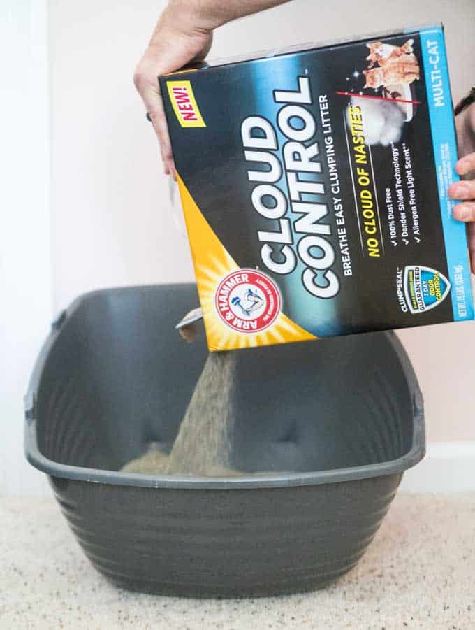 How to Get Rid of Litter Box Smell The Happier Homemaker