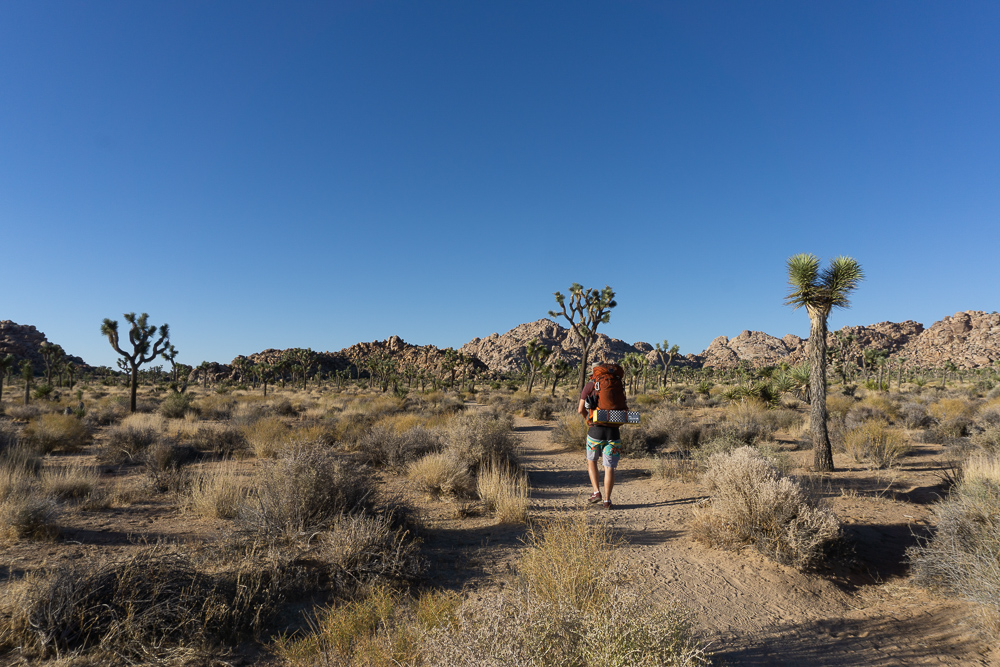 Backpacking the Boy Scout Trail, Joshua Tree National Park